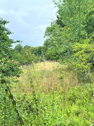  Terrain � vendre 1343 m�