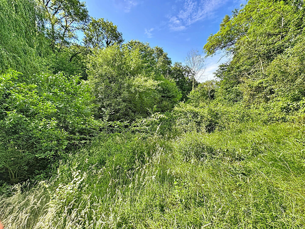 Vente Terrain EXCLUSIVITE - COSSESSEVILLE - Terrain de loisirs Cossesseville