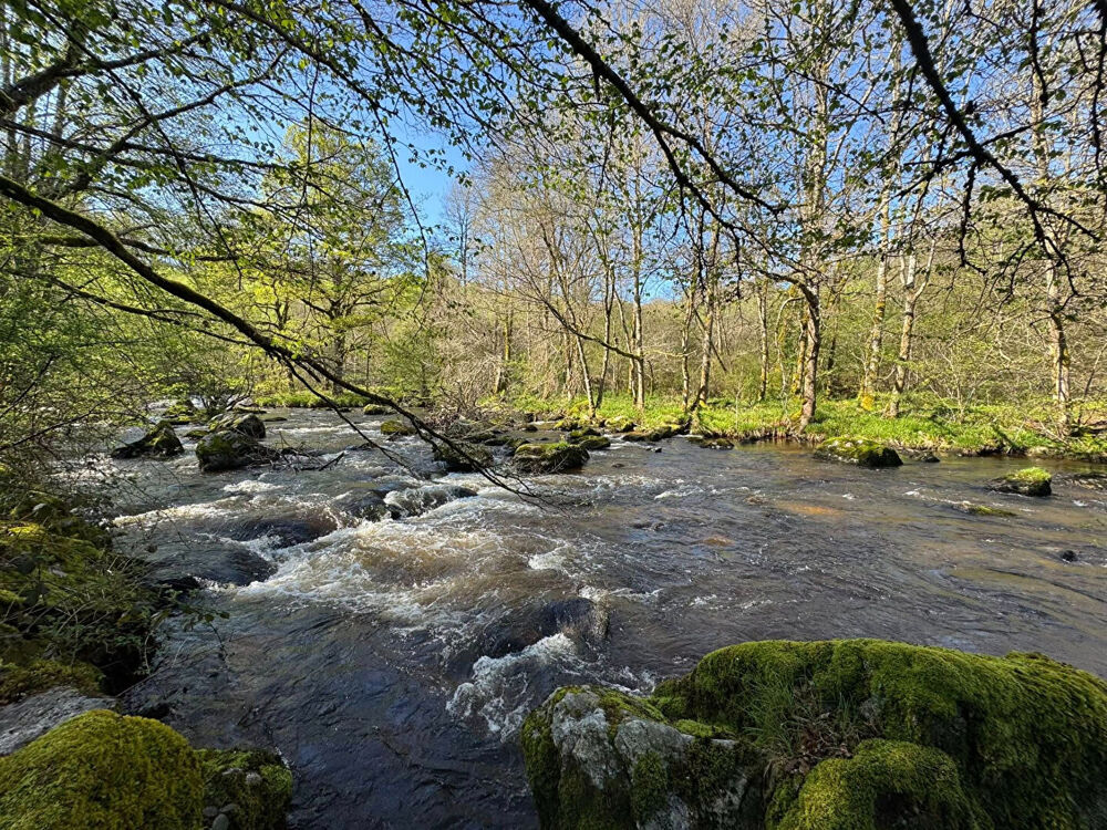  vendre  Villa Chavanat (23250)