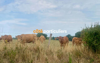  Maison  vendre 6 pices 156 m