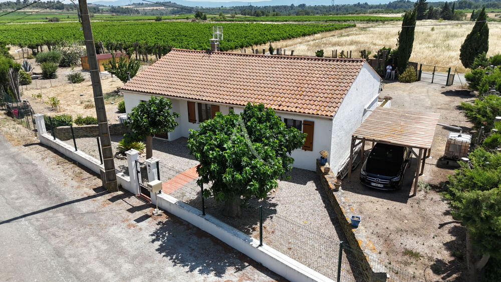 Maison de plain-pied sans travaux avec grand terrain au coeur des vignes