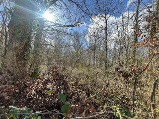  Terrain  vendre 21866 m