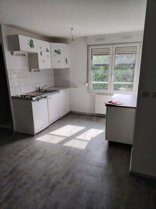  Appartement à louer 1 pièce 45 m²