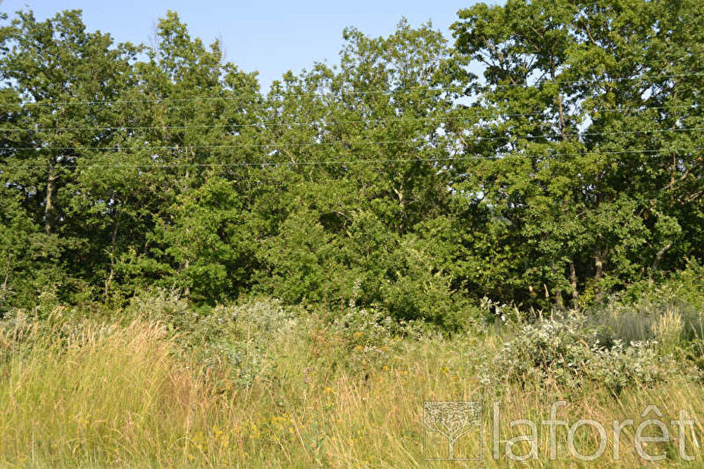 Vente Terrain TERRAIN CONSTRUCTIBLE MONCLAR DE QUERCY - 1748 m2 Monclar de quercy