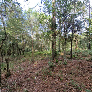  Terrain  vendre 2050 m