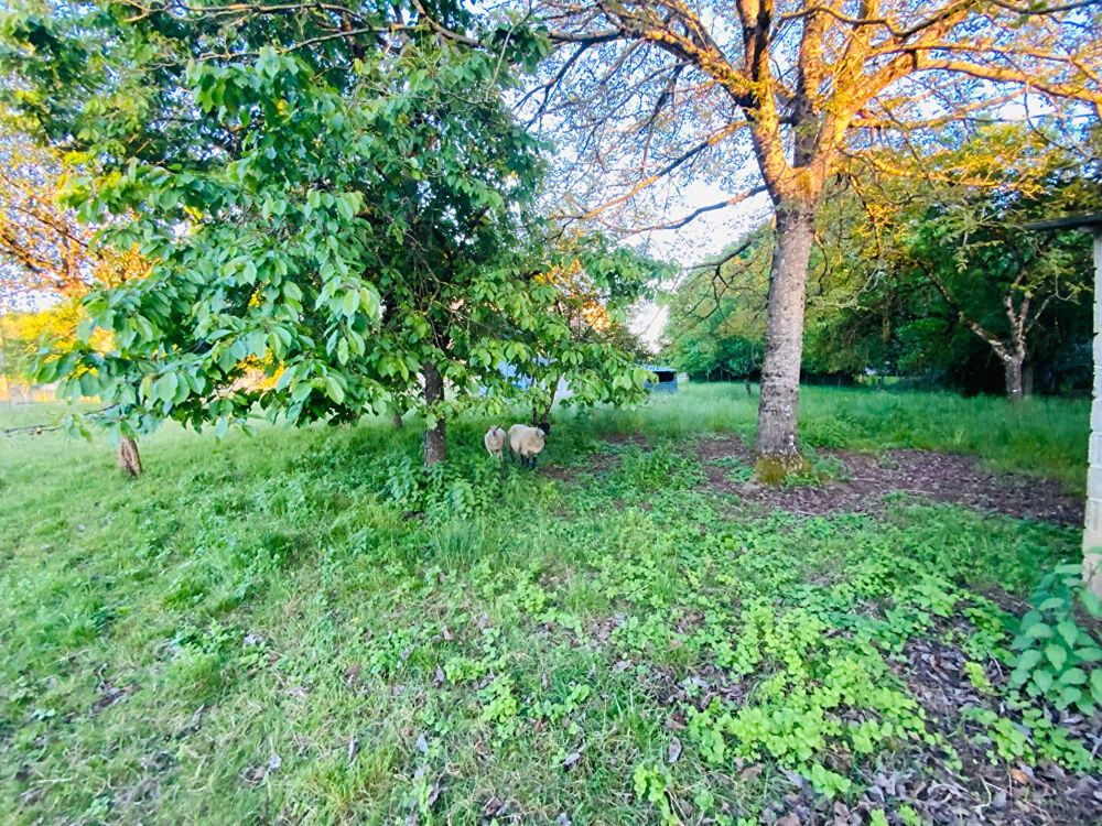 Vente Terrain Terrain constructible centre de village Montrond le chateau