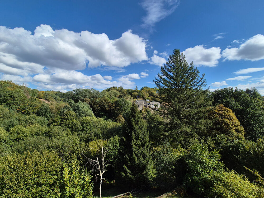 Vente Maison CORRÈZE. Ville de CORRÈZE. Maison en pierre comprenant 3 chambres, un appartement au rez-de-chaussée, un garage, un sous-sol et Correze