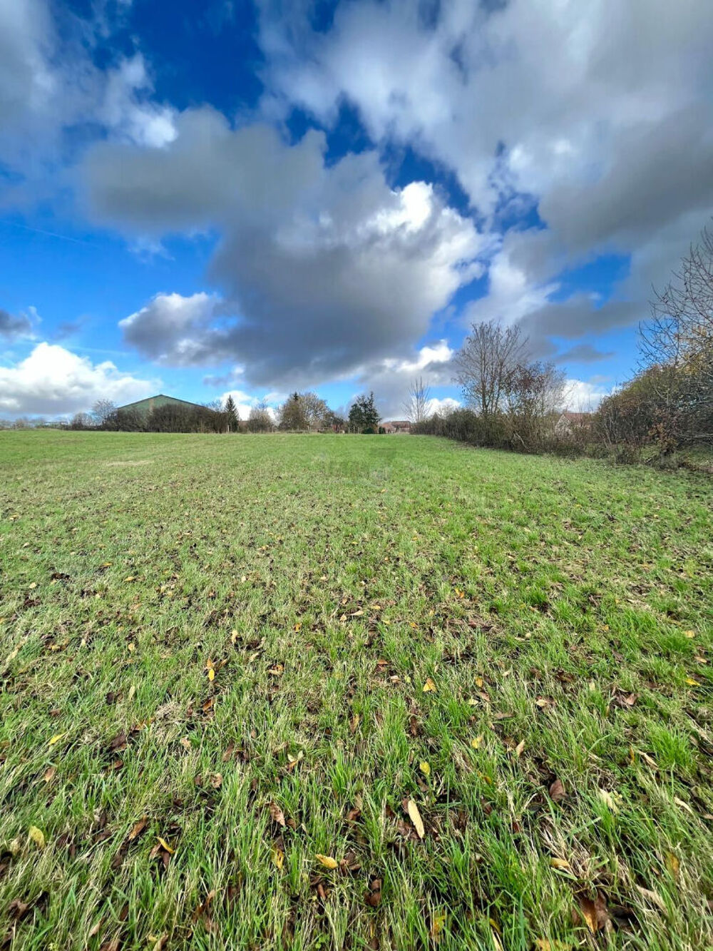 Vente Terrain Terrain à Bâtir 1717m² MONTMIRAIL Montmirail
