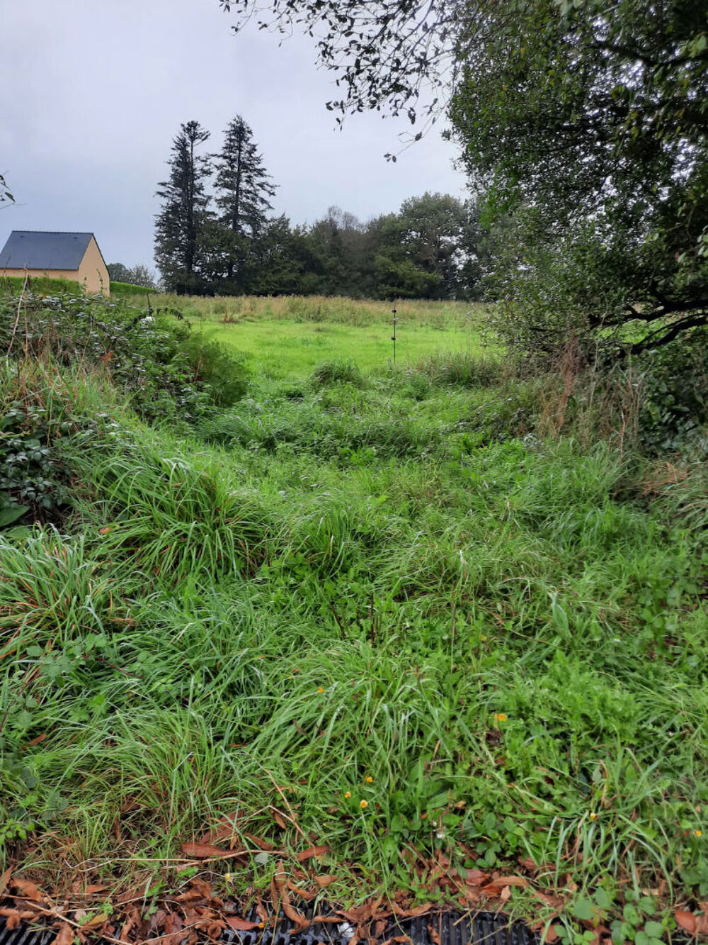 Vente Terrain 2273 m² - Vue 3
