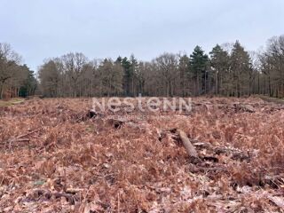  Terrain à vendre 8980 m²
