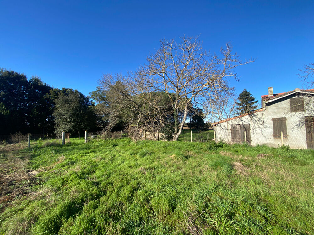 Maison Muret 3 pièce(s) 70 m2 sur parcelle 4513m2