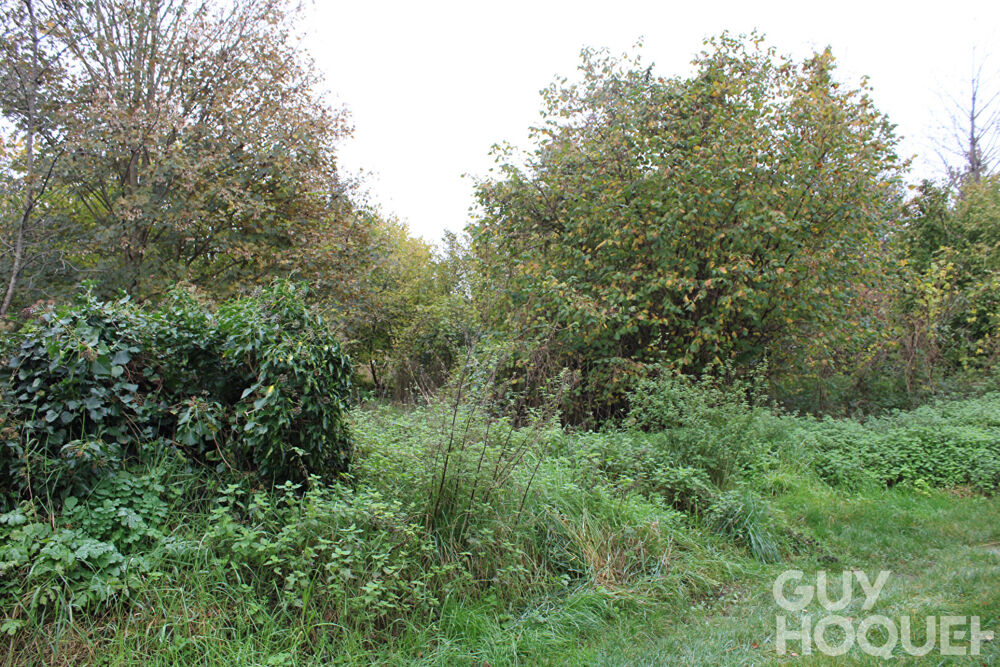 Vente Terrain Terrain à bâtir 818 m² Bullion