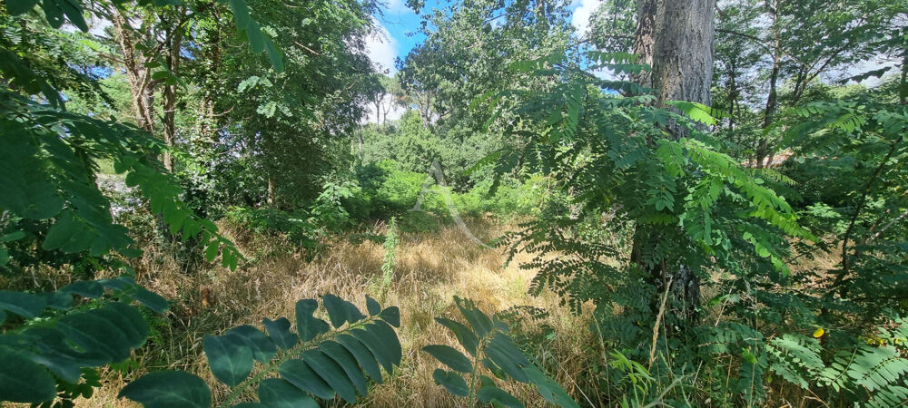 Vente Terrain Terrain de toute beauté à Saint Hilaire De Riez 3463 m2 Saint hilaire de riez
