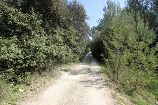  Terrain � vendre 5551 m�