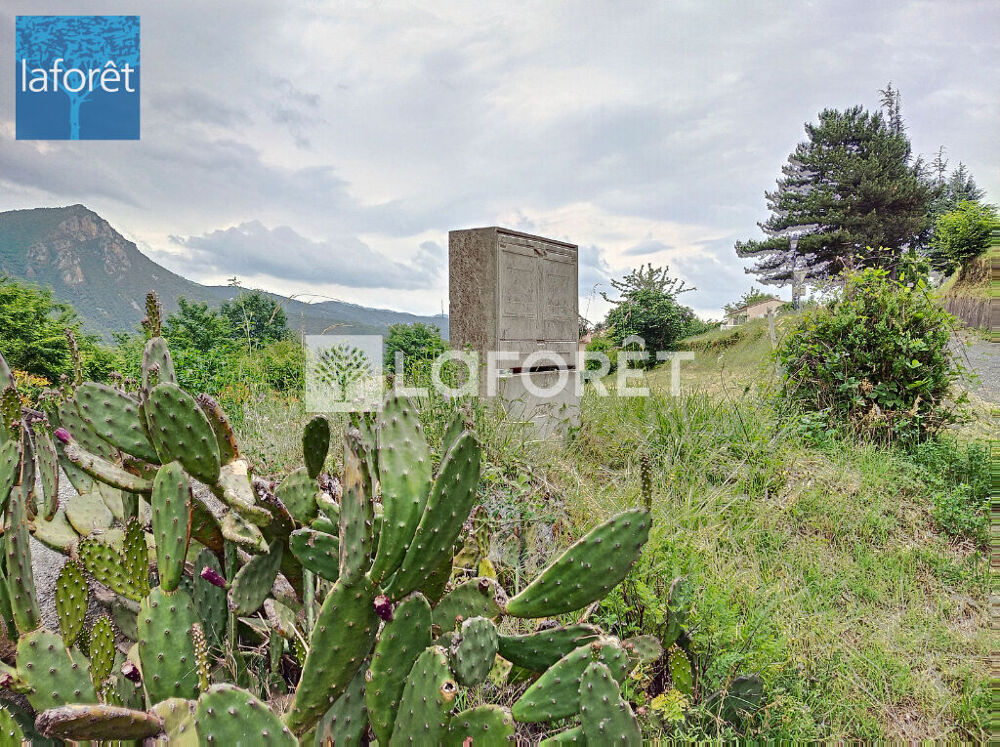 Vente Terrain Serralongue - Terrain à bâtir 1427m² Serralongue