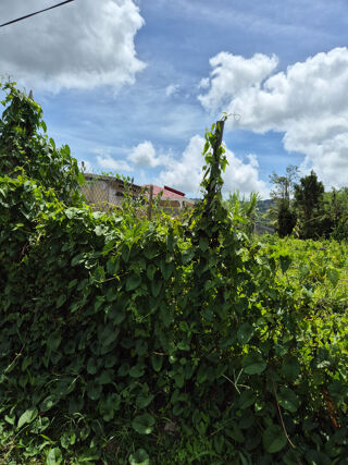  Terrain  vendre 1716 m