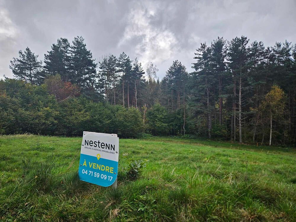 Vente Terrain EXCLUSIVITE ! LAPTE Terrain constructible de  plus de  2000 m2 Lapte