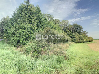  Terrain  vendre 8831 m