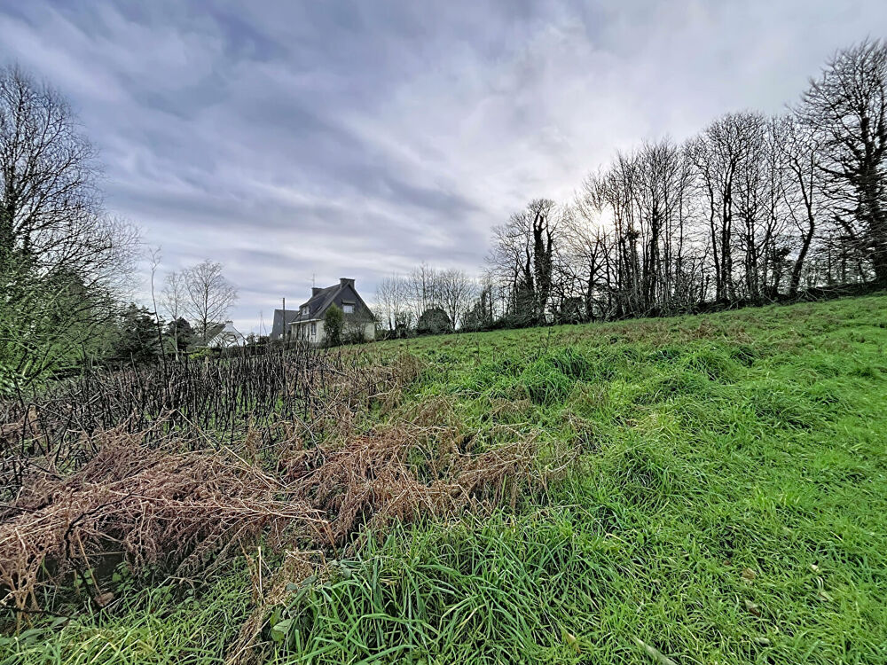 Vente Terrain Terrain Querrien 2200 m2 Querrien