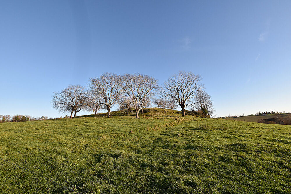 sur l'axe Lapalisse / Varennes-sur-Allier, ANCIEN CORPS DE FERME :