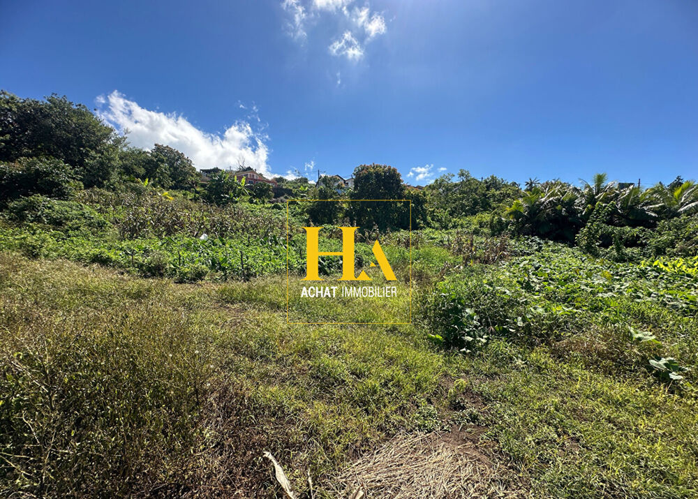 Vente Terrain Terrain Petite Ile 658 m2 Petite ile