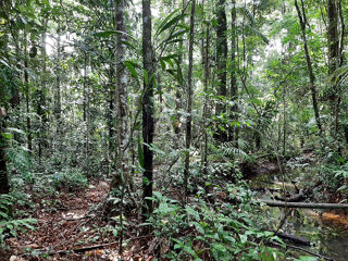  Terrain � vendre 16600 m�