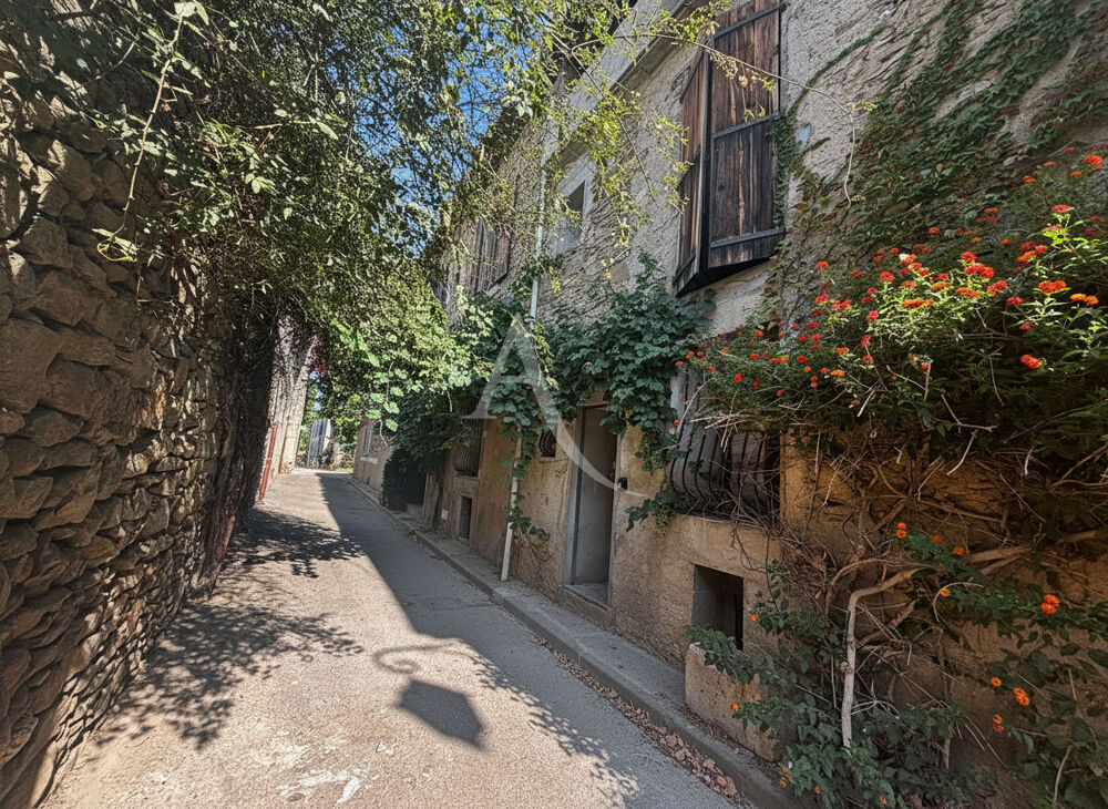 Maison Pepieux 9 pièce(s)