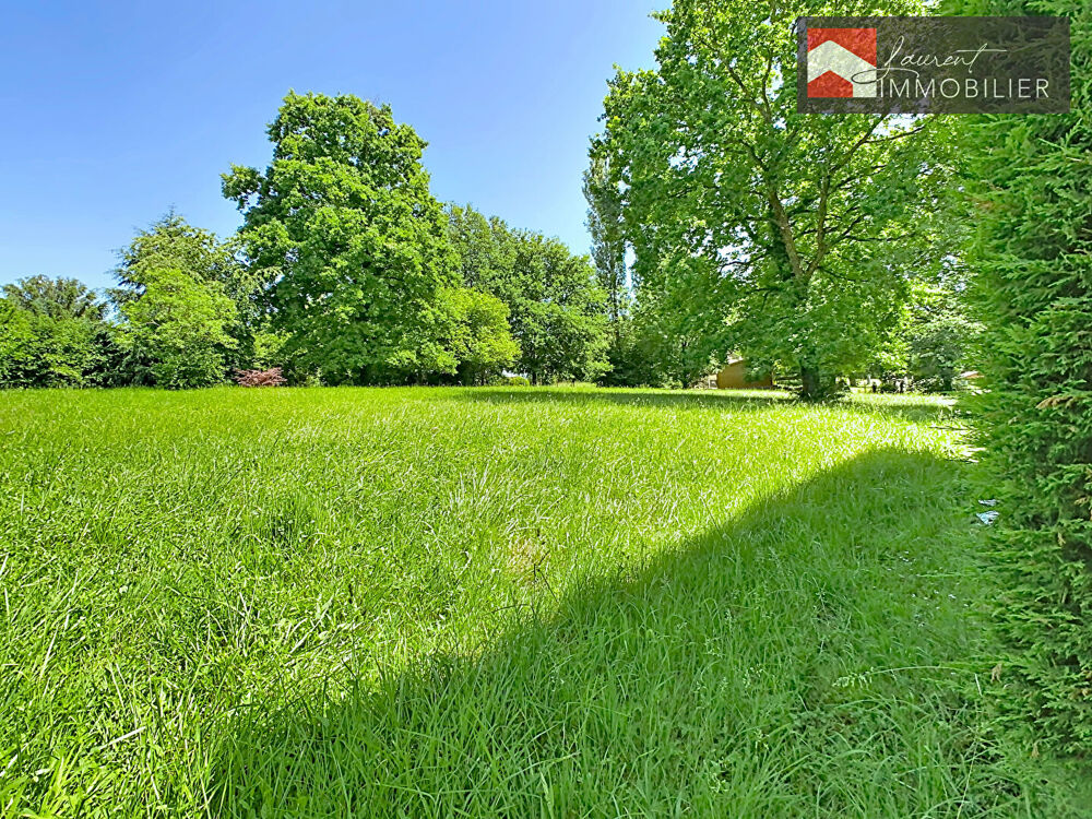 Vente Terrain Terrain arboré de 2526 m² à Allériot -180 000 Alleriot