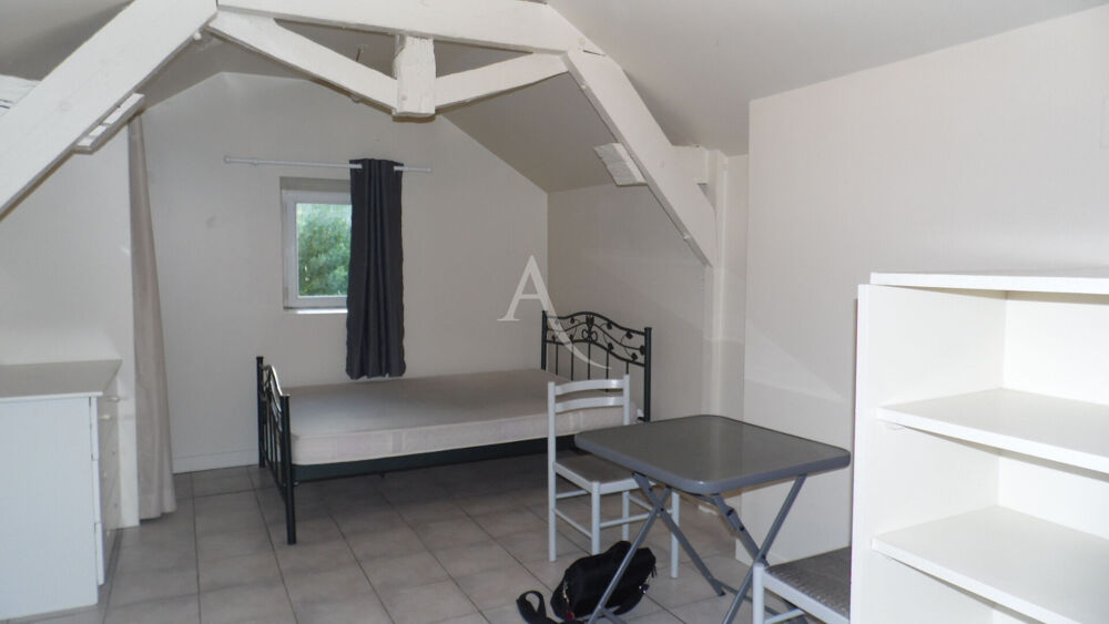 Appartement Doue En Anjou 1 pièce(s) 21.02 m2