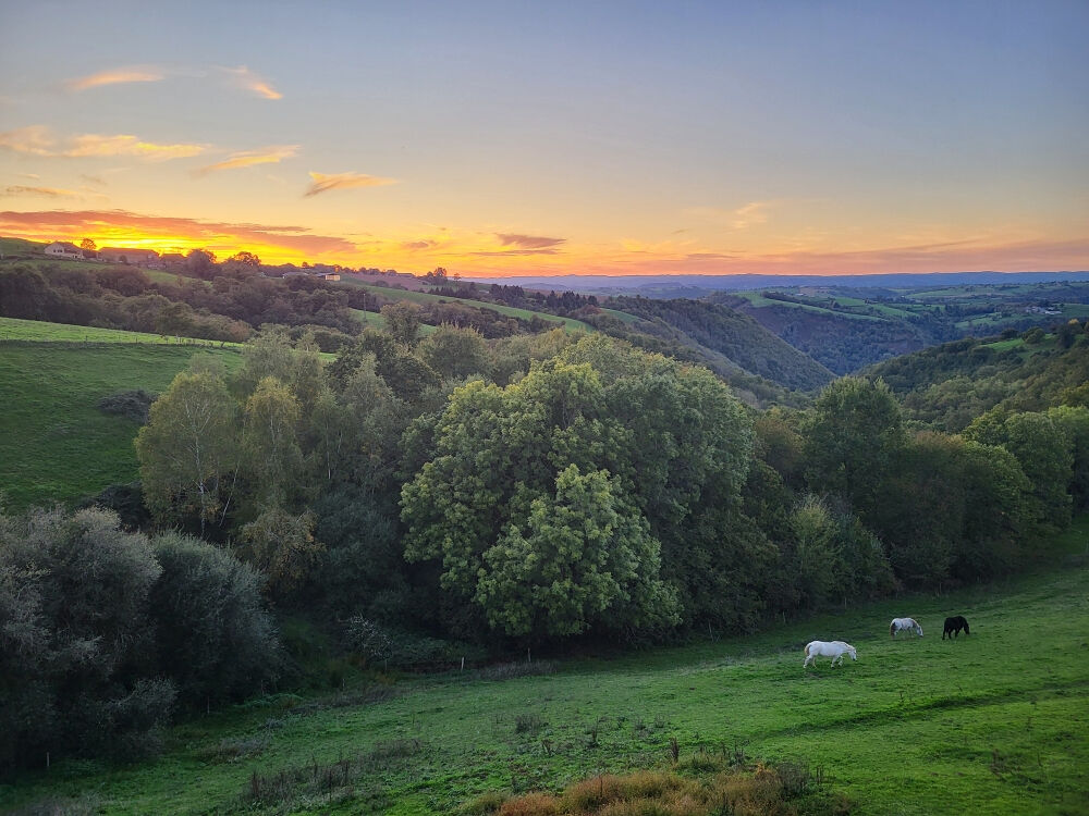 Vente Maison 15 Km CONQUES- BEAU CORPS DE FERME -140 m2-1,6 Ha- Almont les junies