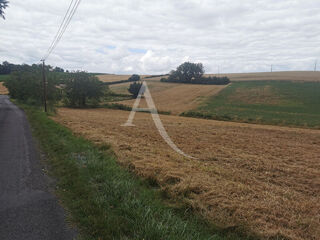  Terrain  vendre  Graulhet