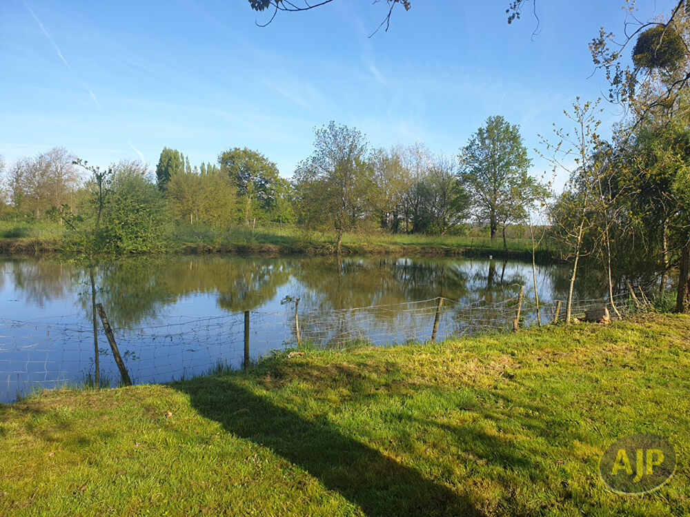 Vente Terrain Terrain Montaigu Vendee 5810 m2 Montaigu vendee