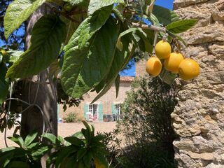  Maison � vendre 15 + pi�ces 896 m�