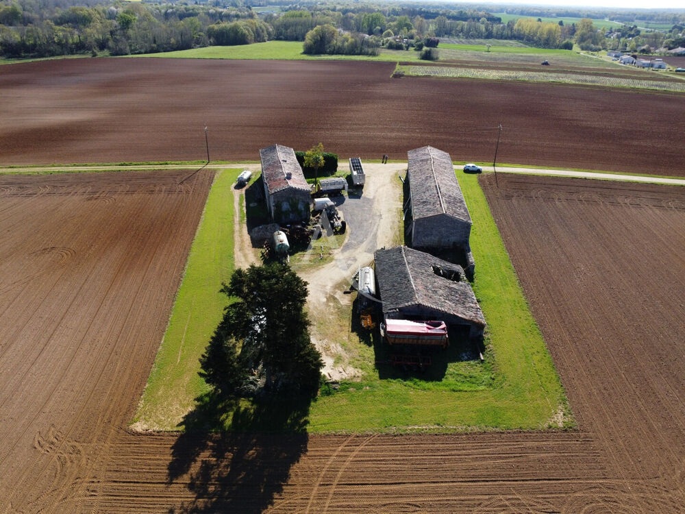 Beau projet immobilier en vue !