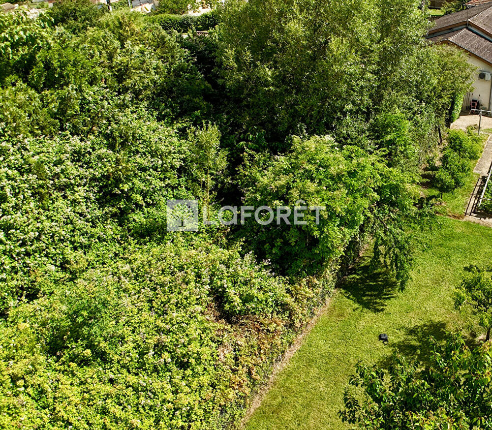Vente Terrain Terrain Cormoranche sur Saône 2000 m2 Cormoranche sur saone
