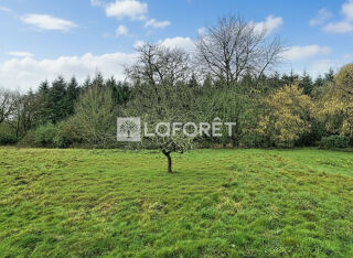  Terrain à vendre 4000 m²