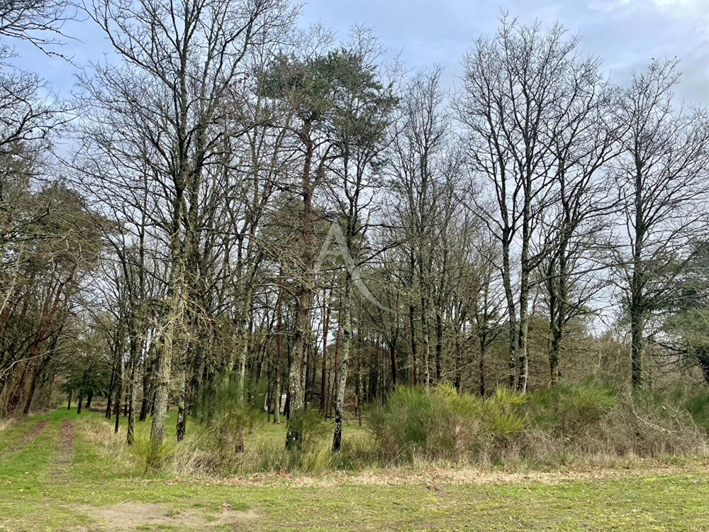 Vente Terrain TERRAIN DE LOISIRS A VENDRE VILLEFRANCHE SUR CHER Villefranche sur cher