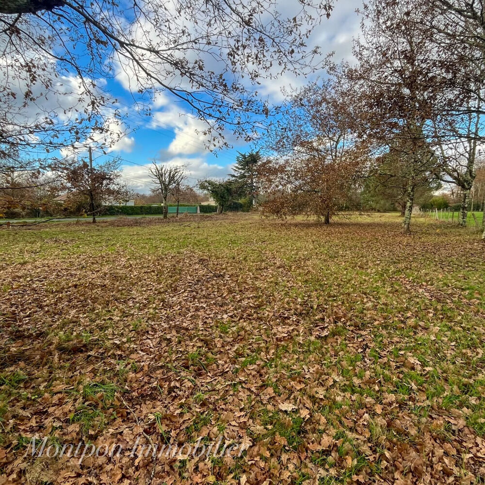 Vente Terrain Terrain Montpon Menesterol 2864 m2 dont 1340 m² constructible Montpon menesterol