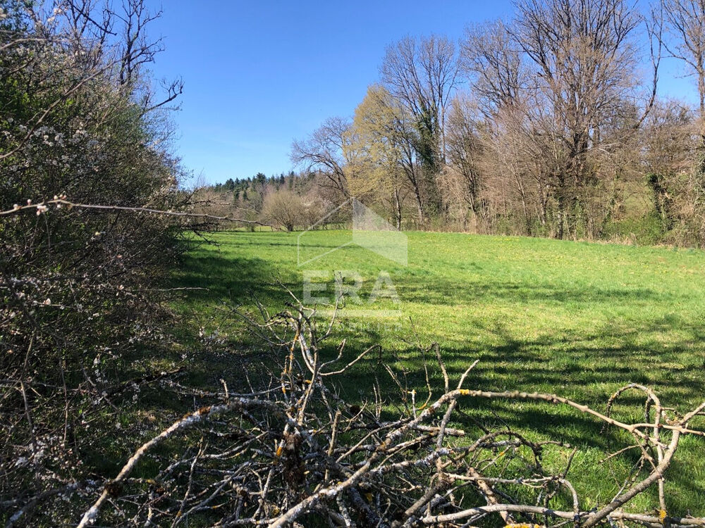 Vente Terrain Superbe terrain plat constructible ? Plus de 35 ares ? Idéal projet 2 maisons ? Proche Champagnole / Arbois Andelot en montagne