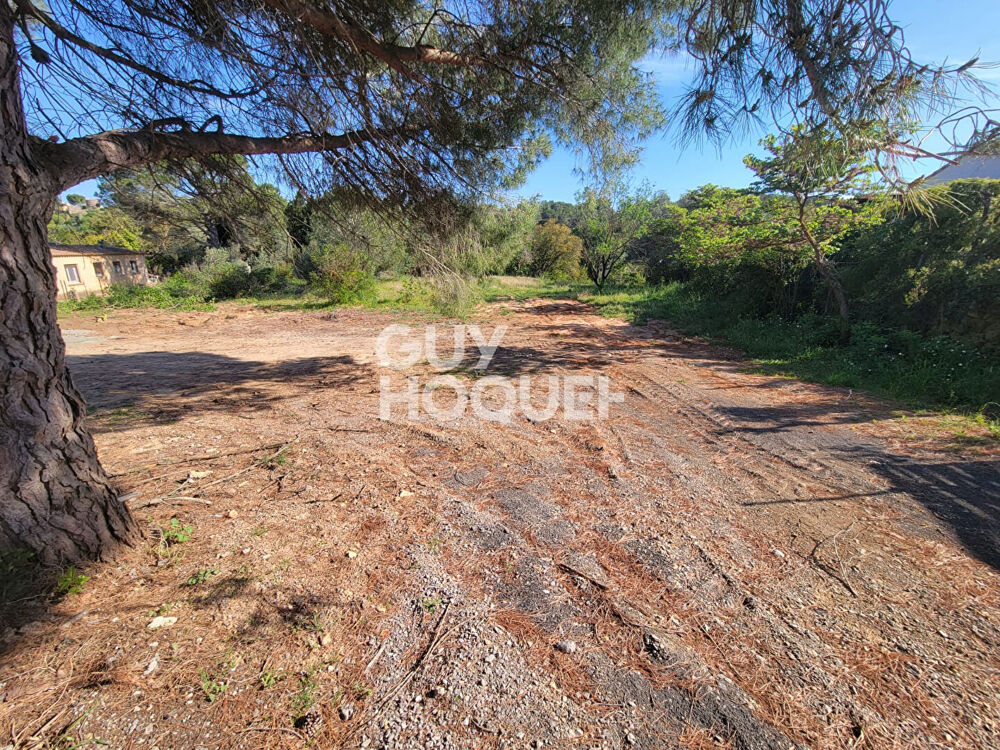 Vente Terrain Terrain Bizanet 740 m2 Bizanet