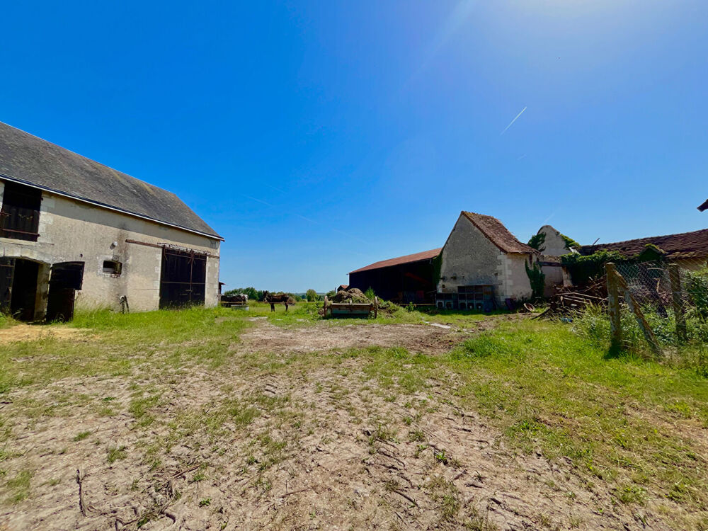 Corps de ferme à vendre à Chatillon sur Indre