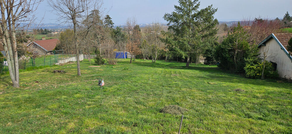 Vente Terrain Terrain Vaugneray 1500 m2, vue sur le Mont Blanc Vaugneray