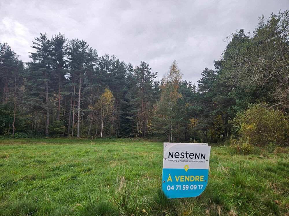 Vente Terrain EXCLUSIVITE ! LAPTE Terrain constructible de  plus de  2000 m2 Lapte