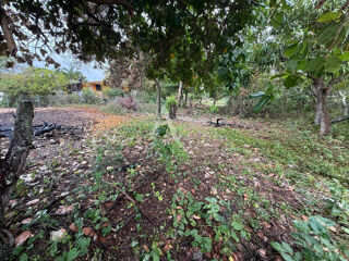 Terrain à vendre 601 m²
