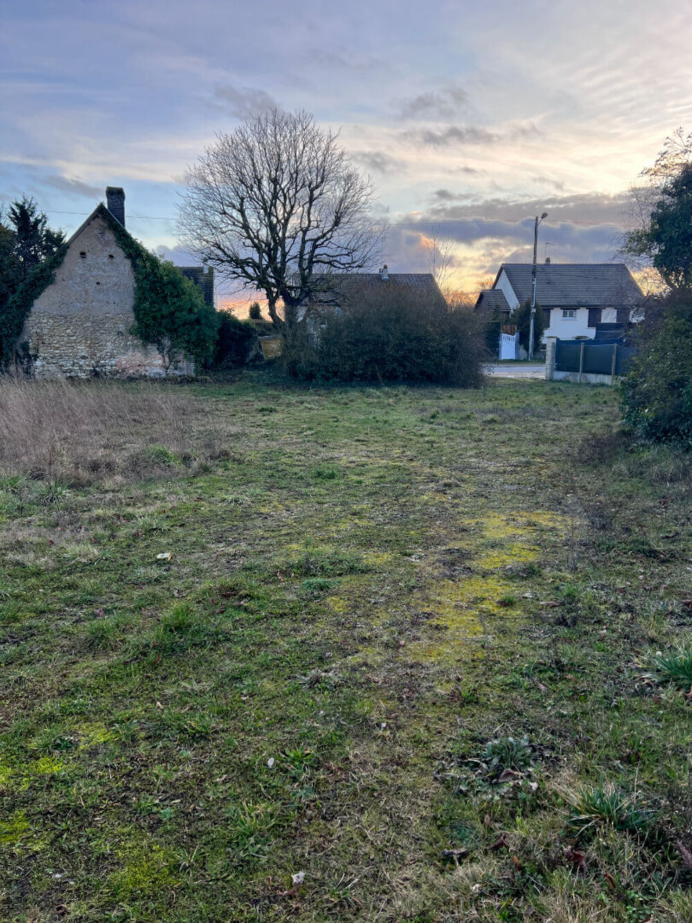 Vente Terrain Terrain Dammarie 509 m2 Dammarie