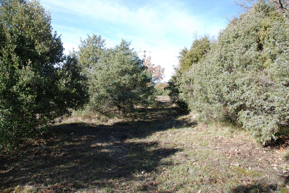 Vente Terrain A VENDRE EN EXCLUSIVITE ! Beau terrain plat  de 1457m² à BEAUDINARD SUR VERDON Baudinard sur verdon