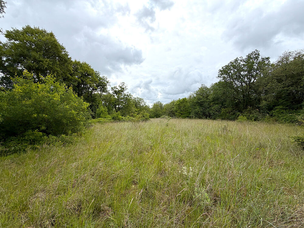 Vente Terrain AUJOLS - Terrain constructible - 4 600 m² Cahors