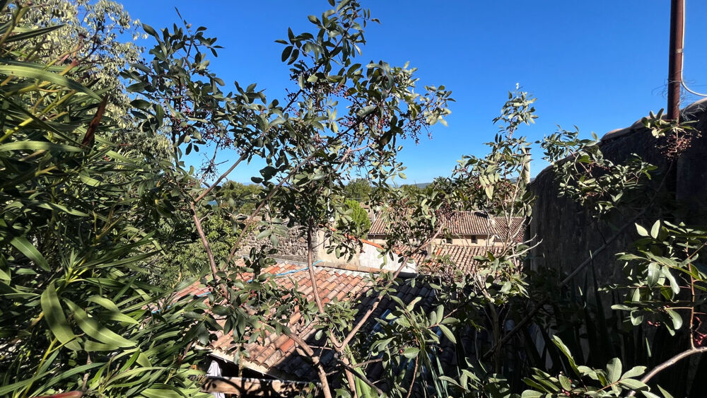 Ardèche, Le Pouzin : Maison de village atypique en pierre avec grande cave