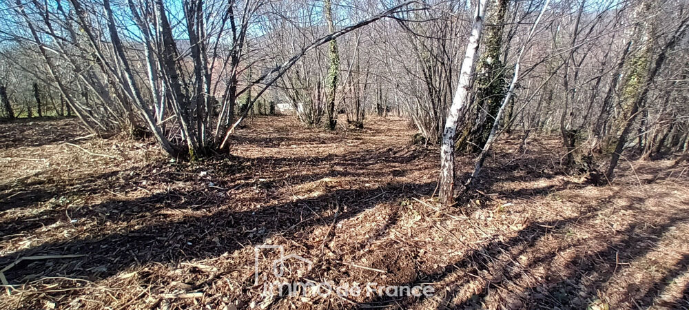 Vente Terrain Vallée du Lot-Terrain Flagnac 1395 m2 Flagnac