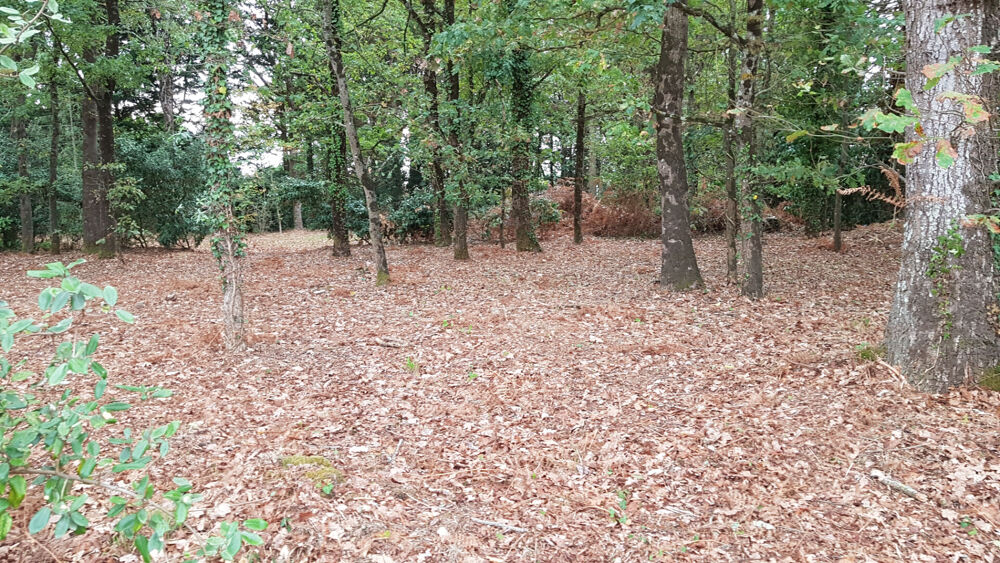 Vente Terrain Notre Dame De Riez terrain constructible 591 m2 Notre dame de riez